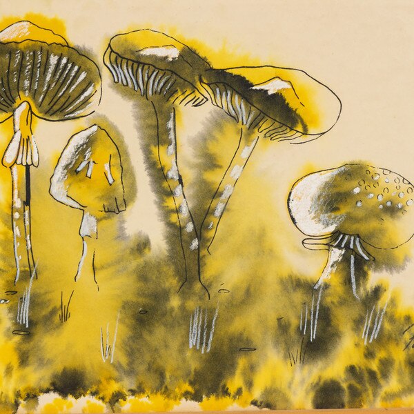 Mushroom Framed Artwork Macro 3